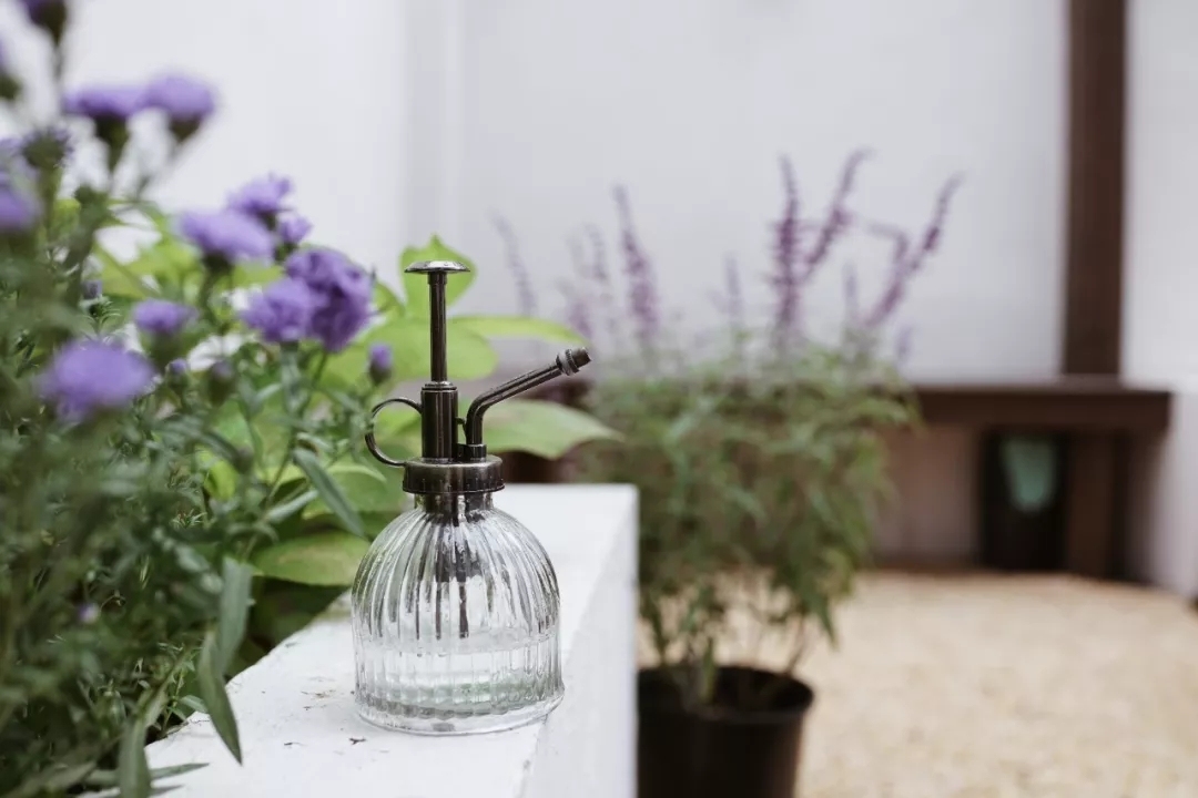 买老破小上海学区房,上海最老旧学区房