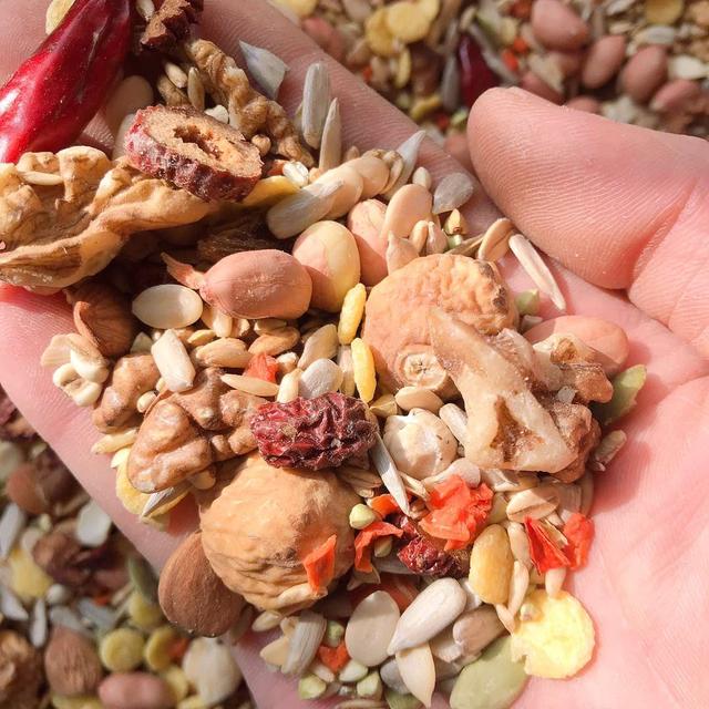 鹦鹉不吃鹦鹉滋养丸怎么办,鹦鹉一定要喂滋养丸吗