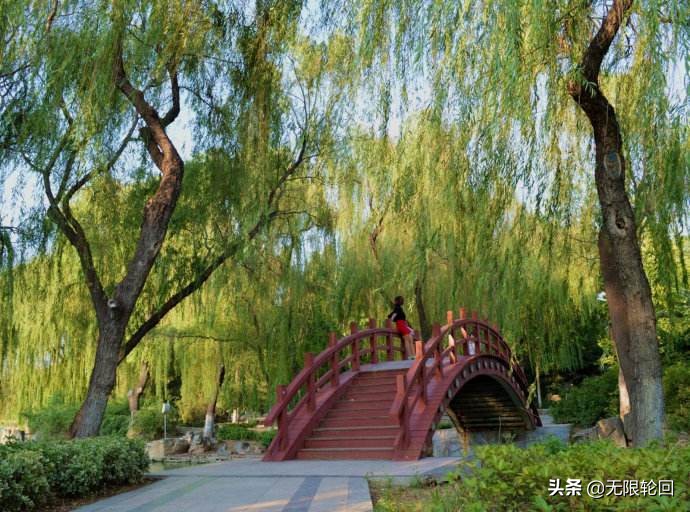 欣赏贺知章咏柳的意境美,咏柳贺知章写的咏柳赞美什么