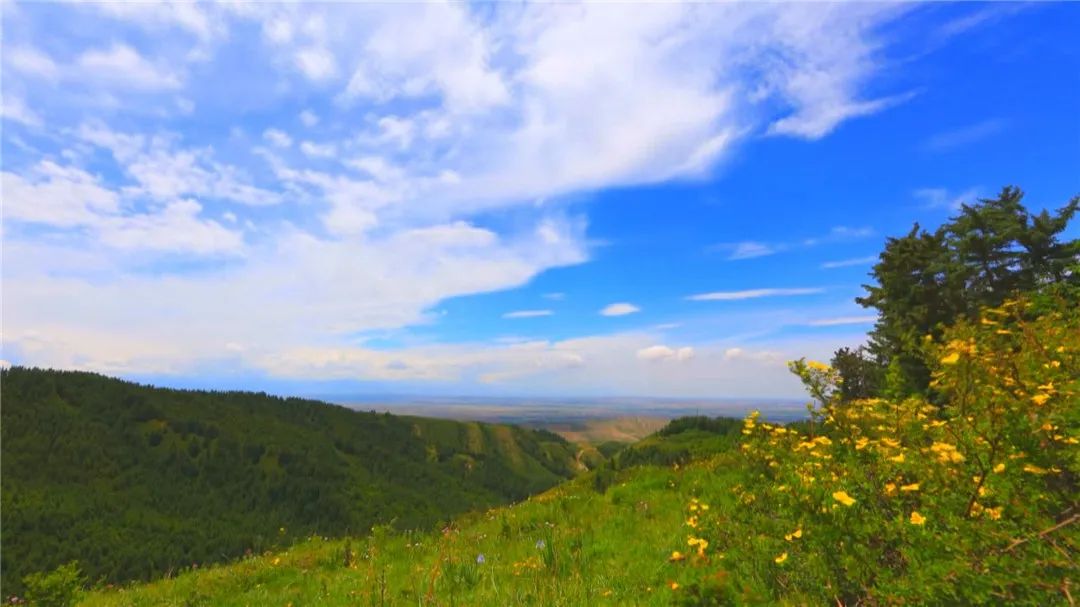 春暖花开等你来赏花,春暖花开等你来赏花原唱视频