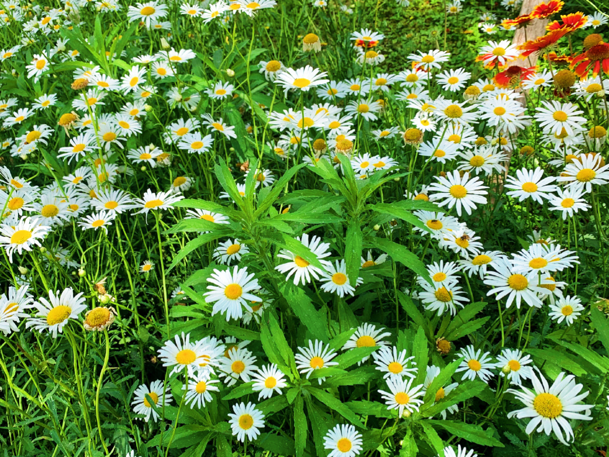 西安最新湿地公园,西安国家湿地公园