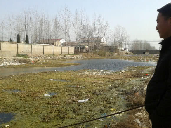 为什么有些鲫鱼吃起来有股煤油味,怎么去除河里鲫鱼的煤油味道