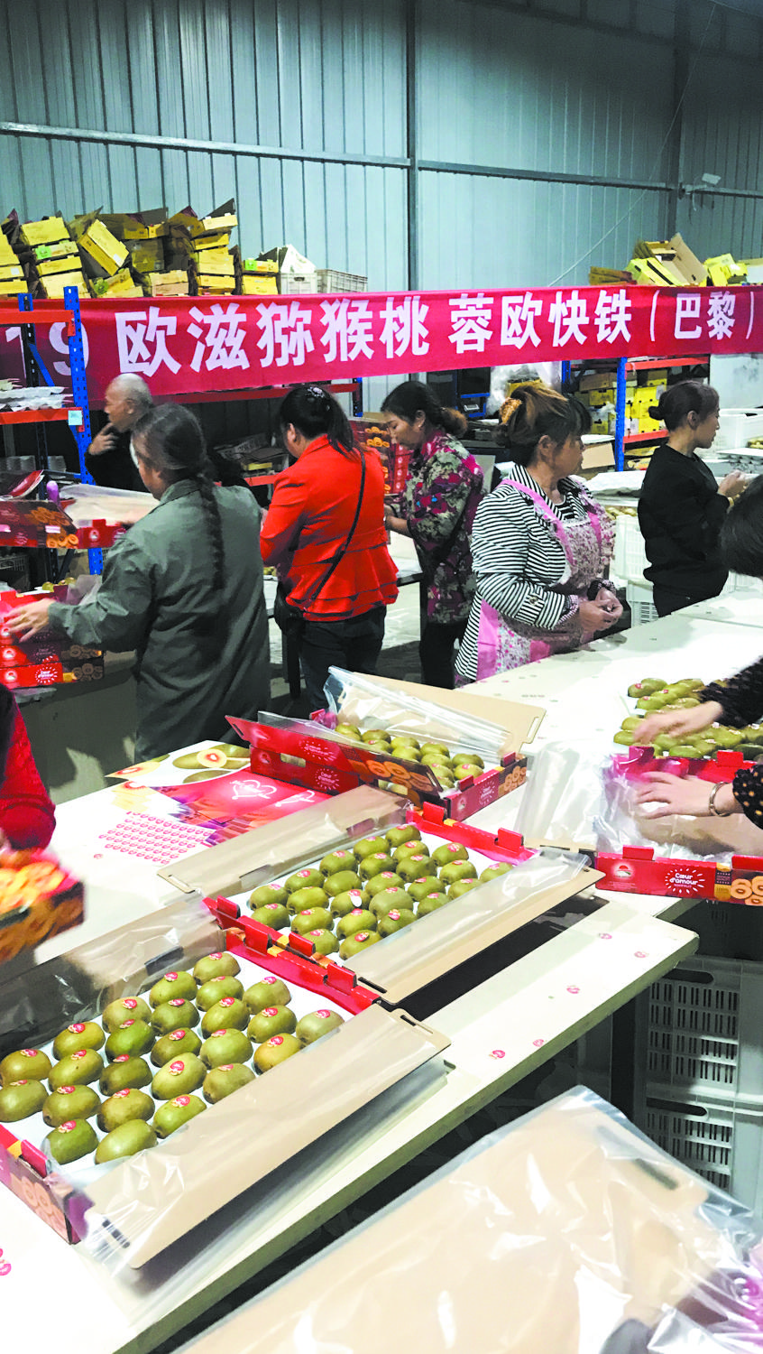 成都市优化营商环境,成都营商环境建设现状