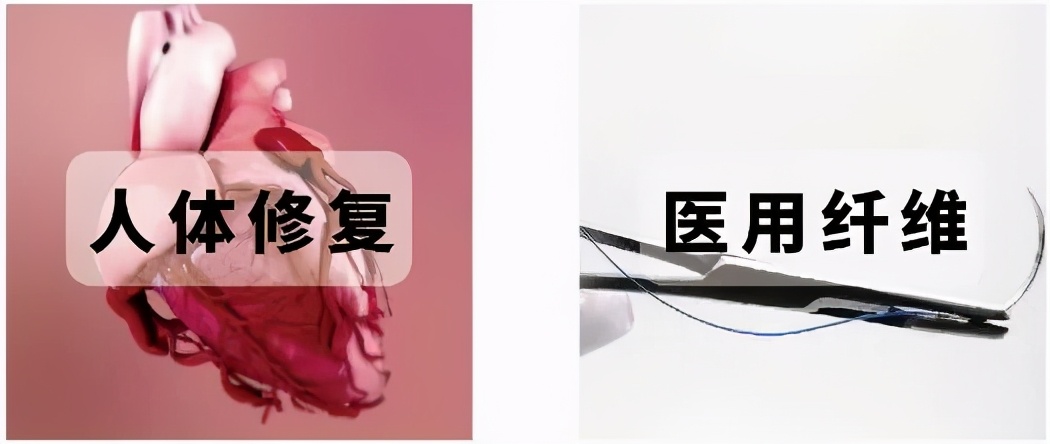 企业赋能中心||石墨烯抗菌复合材料带给你新的星辰大海