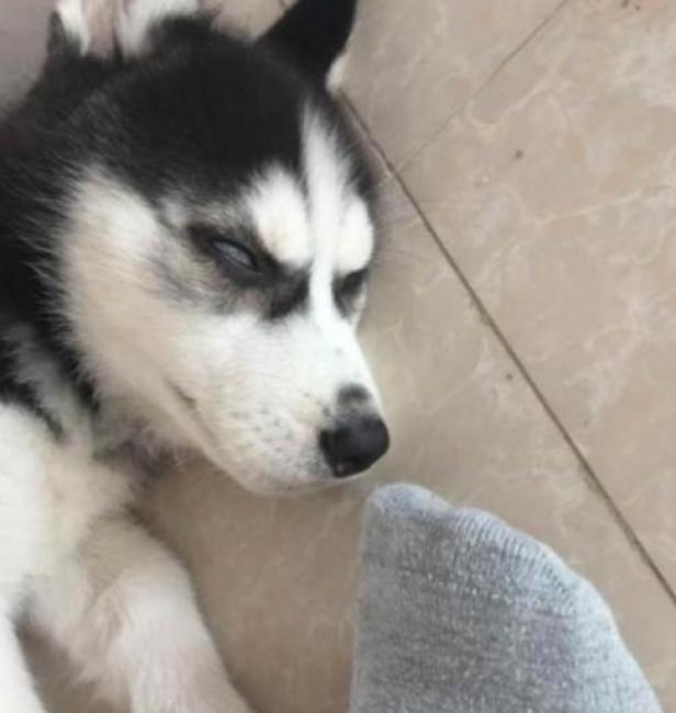 货狠话不多！小米“防香港脚”神器，199媲美2569体验，米粉：抢