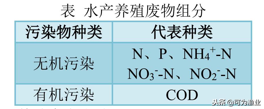 微藻净化化工污水,微藻去除废水的优势
