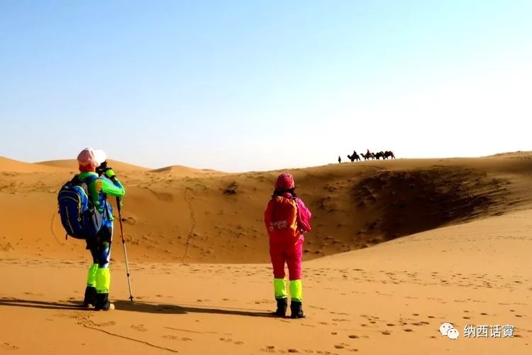 叶紫被雷劈穿越到异界,关于叶紫的穿越小说