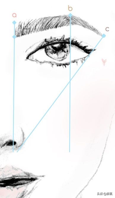 简单快捷适合各种脸型的毛眉画法,毛戈平标准眉形理论