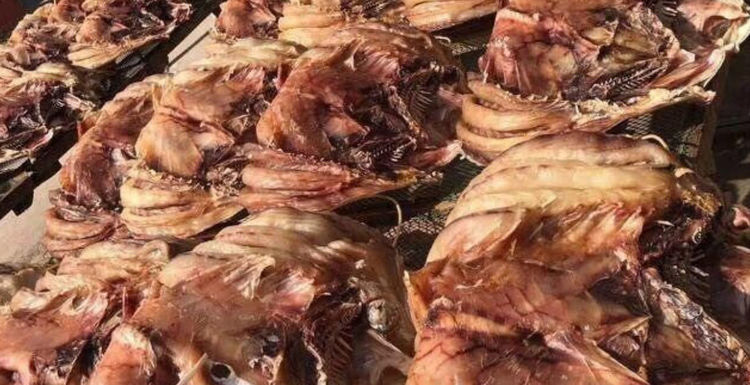 海南除了吃的还有啥特产,椰子特产在海南