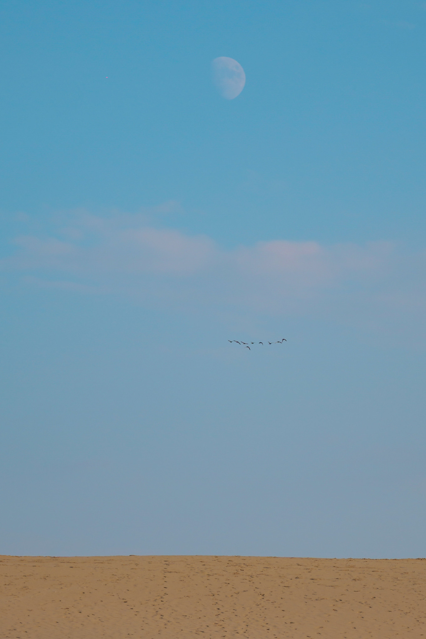 宁夏旅游打卡点,宁夏银川十大网红旅游必打卡