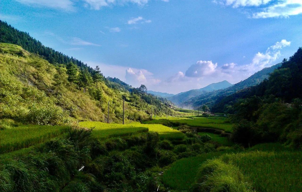 游牧与栖居小说,栖居和寄居有什么区别