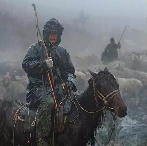 摄影专用题材推荐,初学摄影必备十大题材