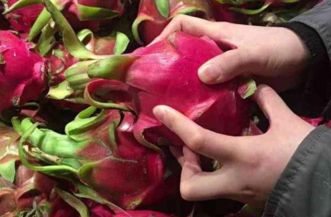 买火龙果要掰刺吗,火龙果怎么买才不会甜