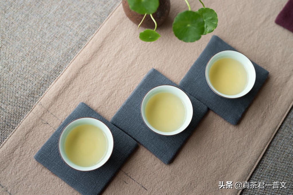 为什么茶店没人去还不倒闭,茶店没客人怎么办