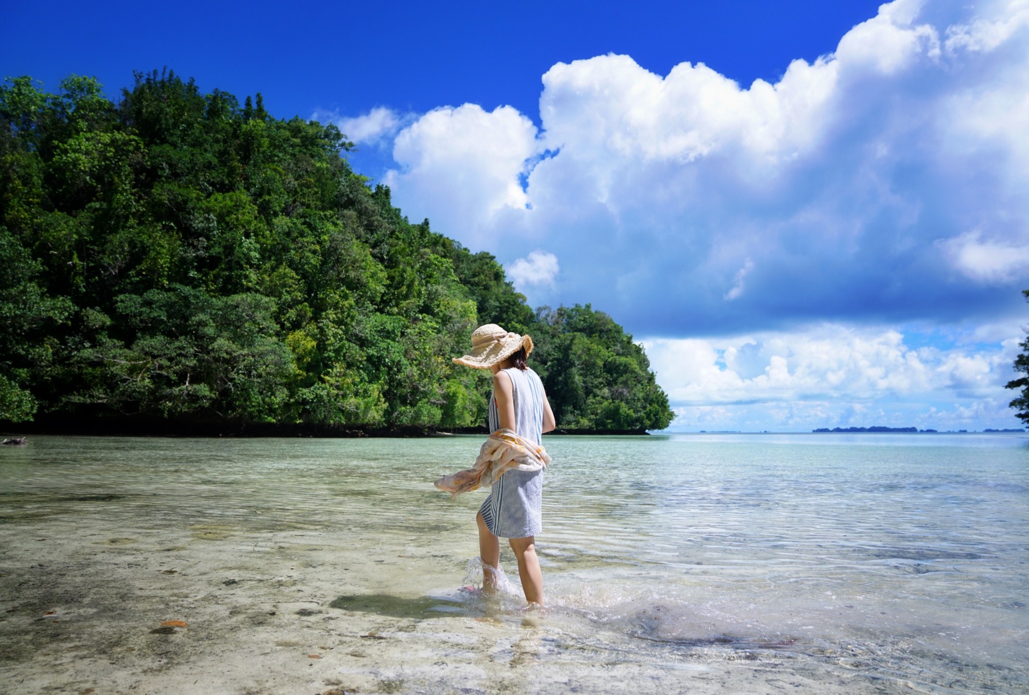 一定是特别的缘分——帕劳,再遇见「周若雪Patty」·上