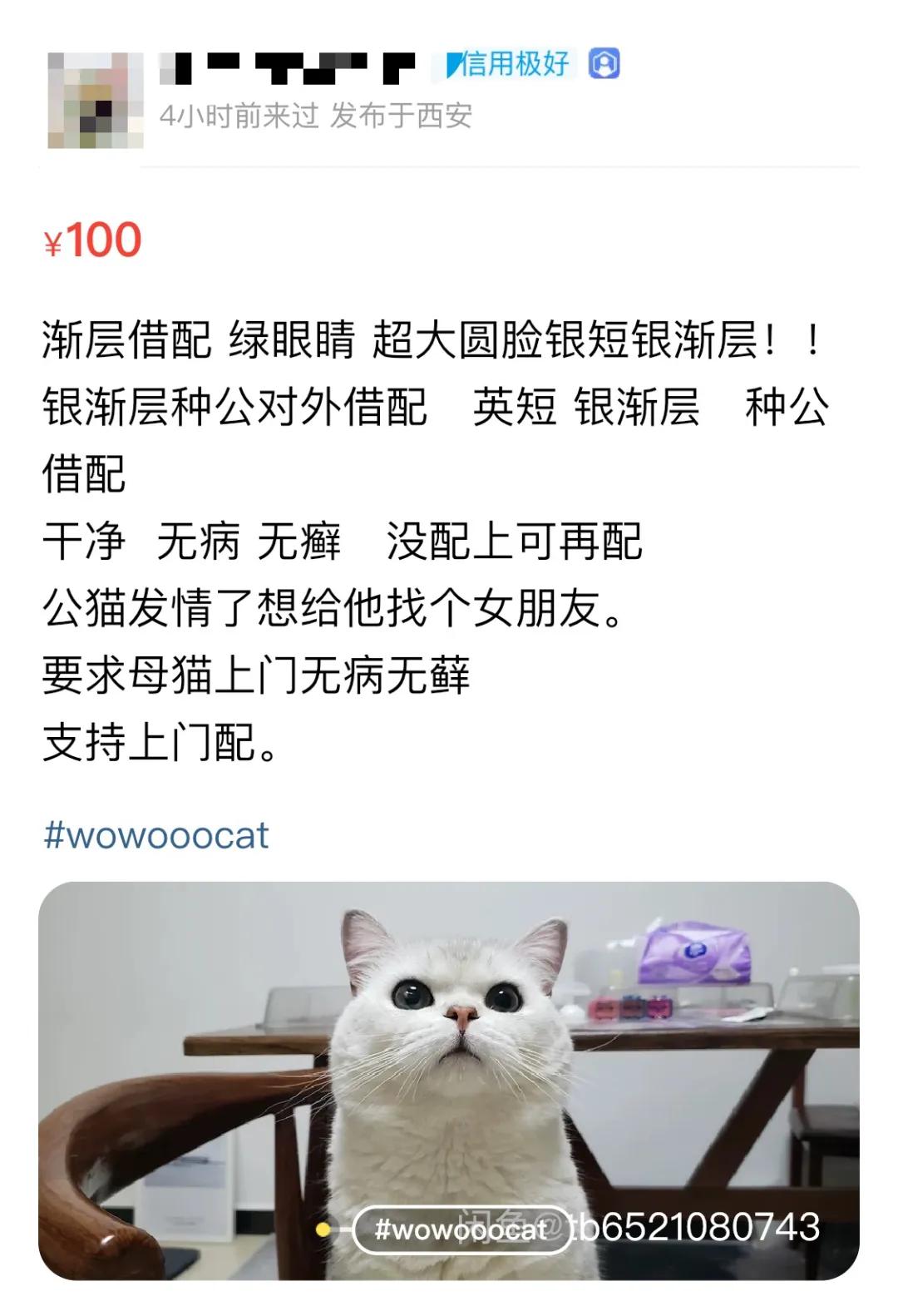 后浪闲鱼电商,后浪西安