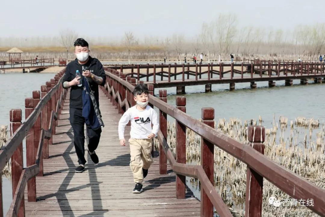 天津东疆港亲海公园今天开放吗,天津即将完工的公园