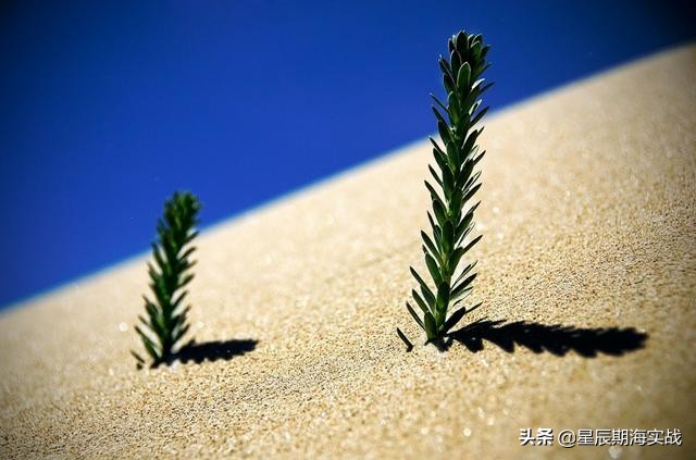 想要做好短线,想做好期货怎么入门