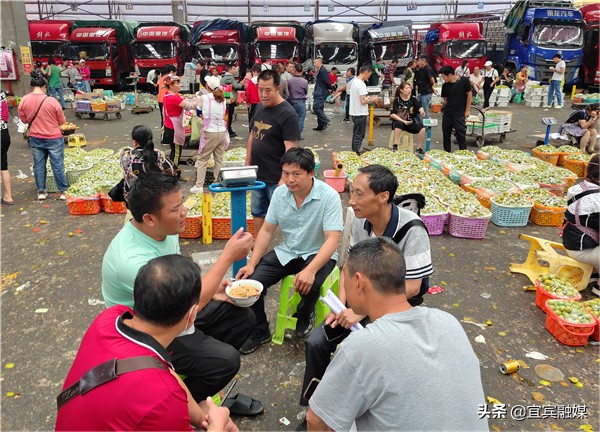 李好四川,李好四川人