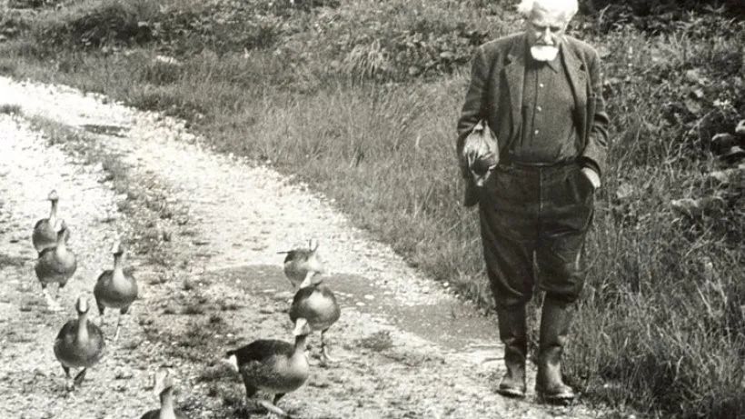 有情人终成兄妹惊不惊喜意不意外,有情人终成兄妹是什么感受