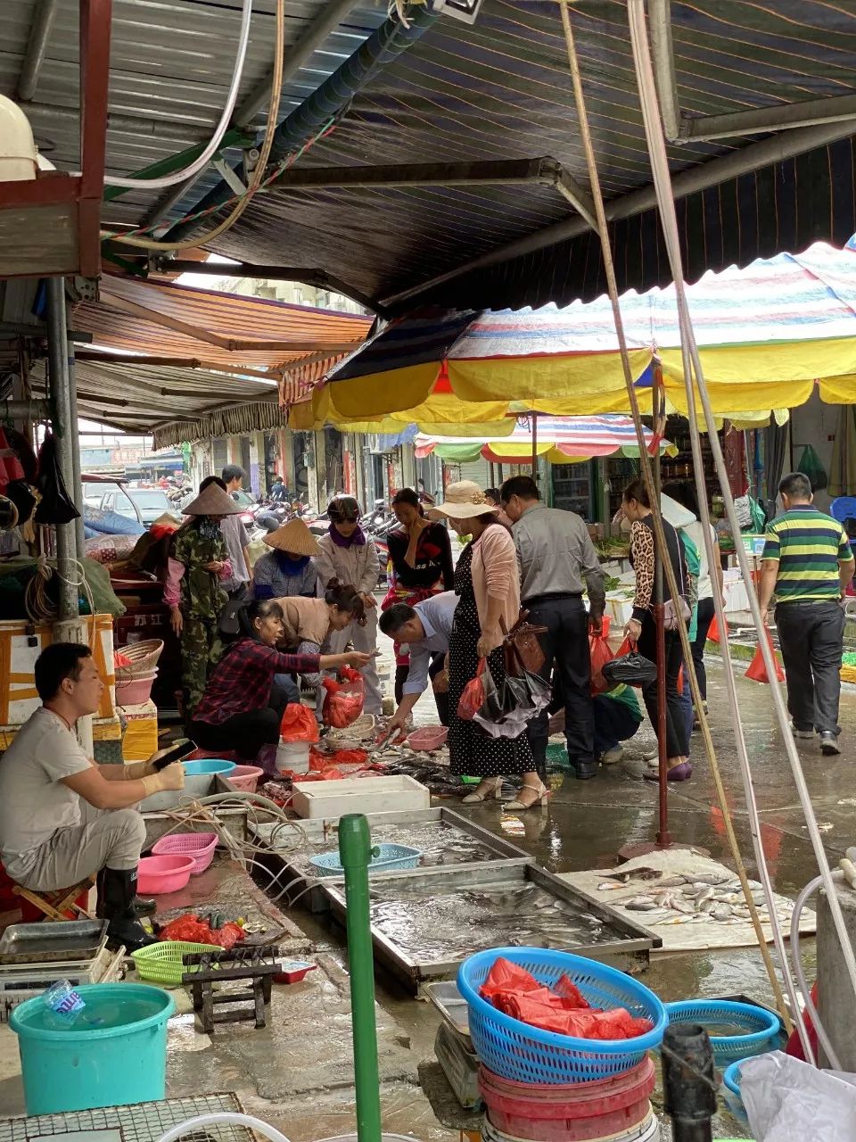钦州最便宜的海鲜市场,钦州海鲜哪里最便宜