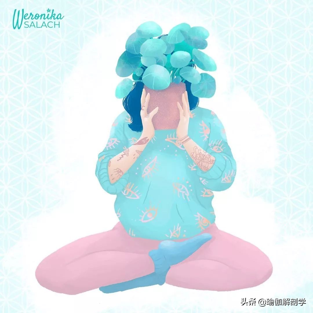 初学瑜伽应该练哪种瑜伽,练瑜伽的初学者最好先练什么瑜伽