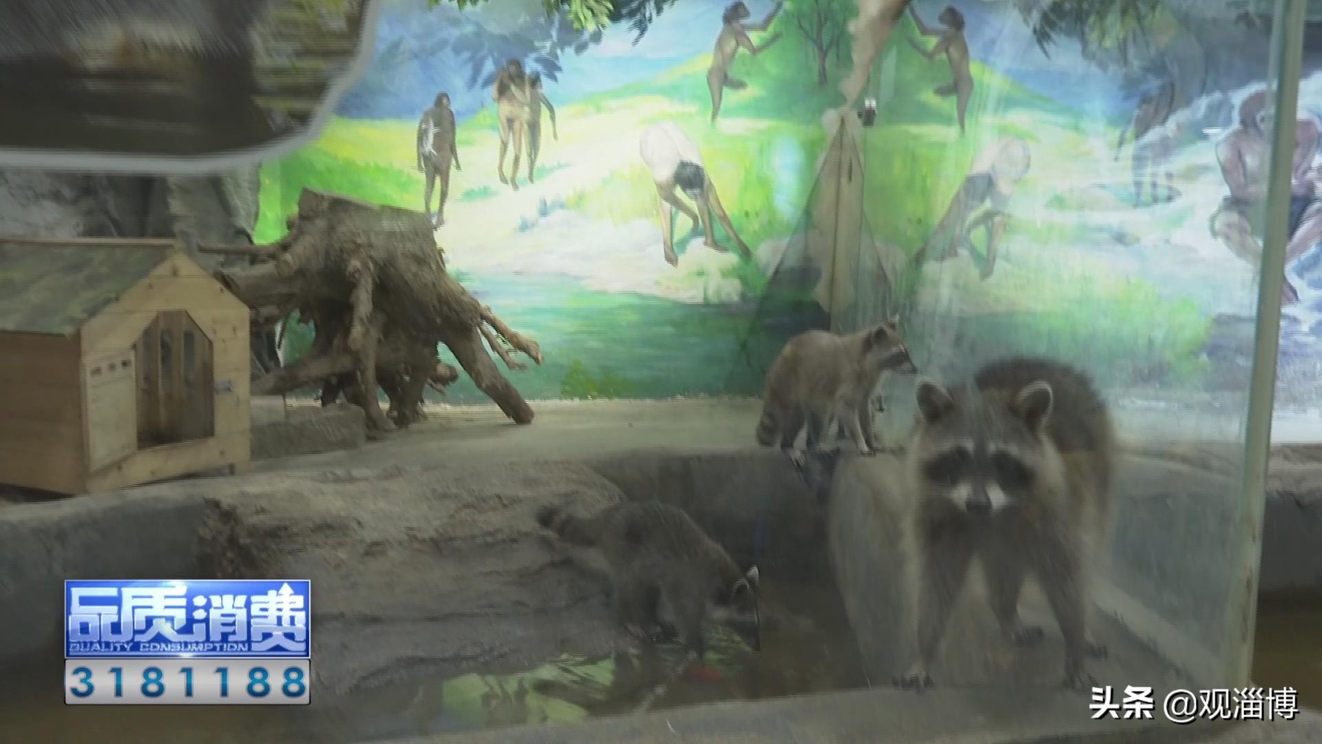 淄博动物乐园,淄博有动物的地方