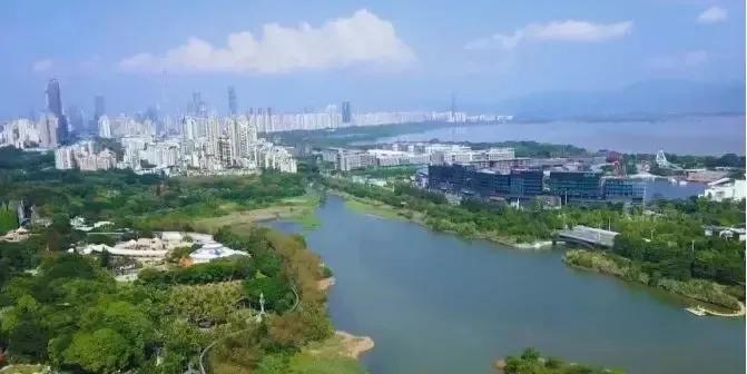 深圳抗疫再添生力军,深圳抗新冠疫情