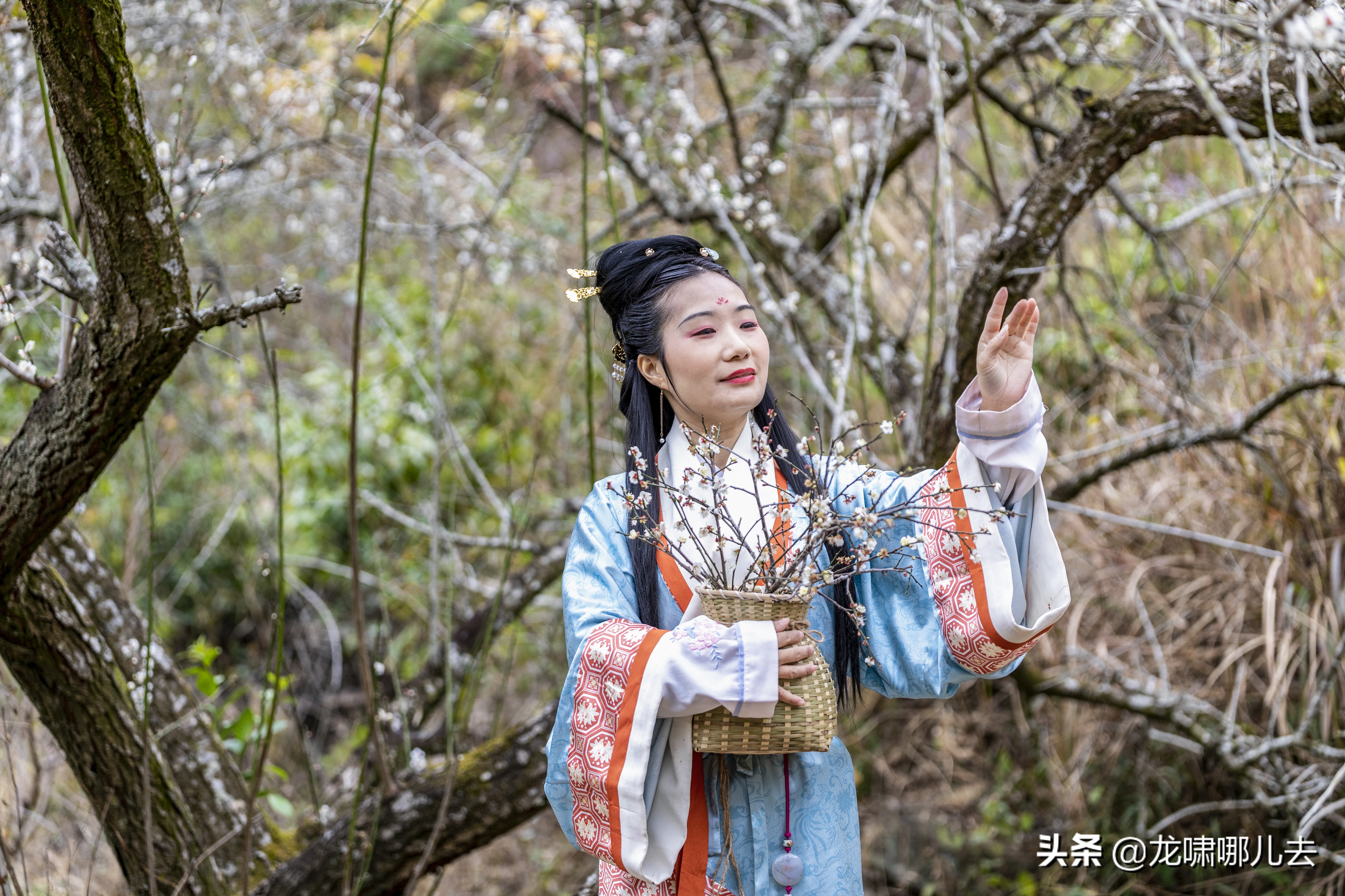 梁化梅园梅花观赏最佳时间,惠州梁化梅园看梅花时间