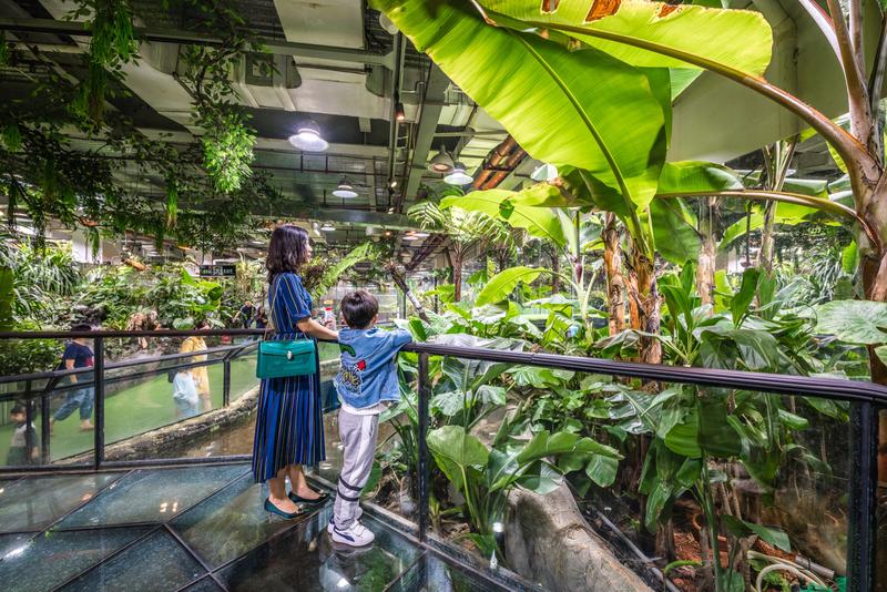 厦门冬春攻略,夏天厦门旅游攻略美食篇