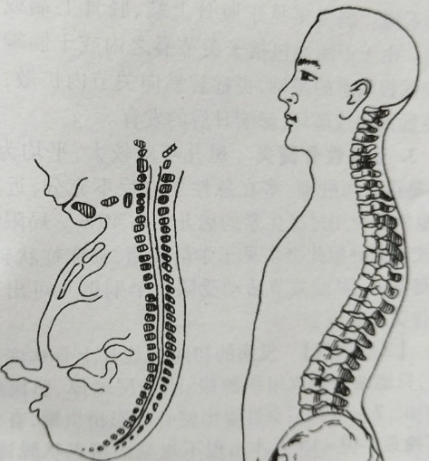宝宝脖子淹了破皮了可以用茶油吗,宝宝淹脖子破皮能用红霉素软膏吗