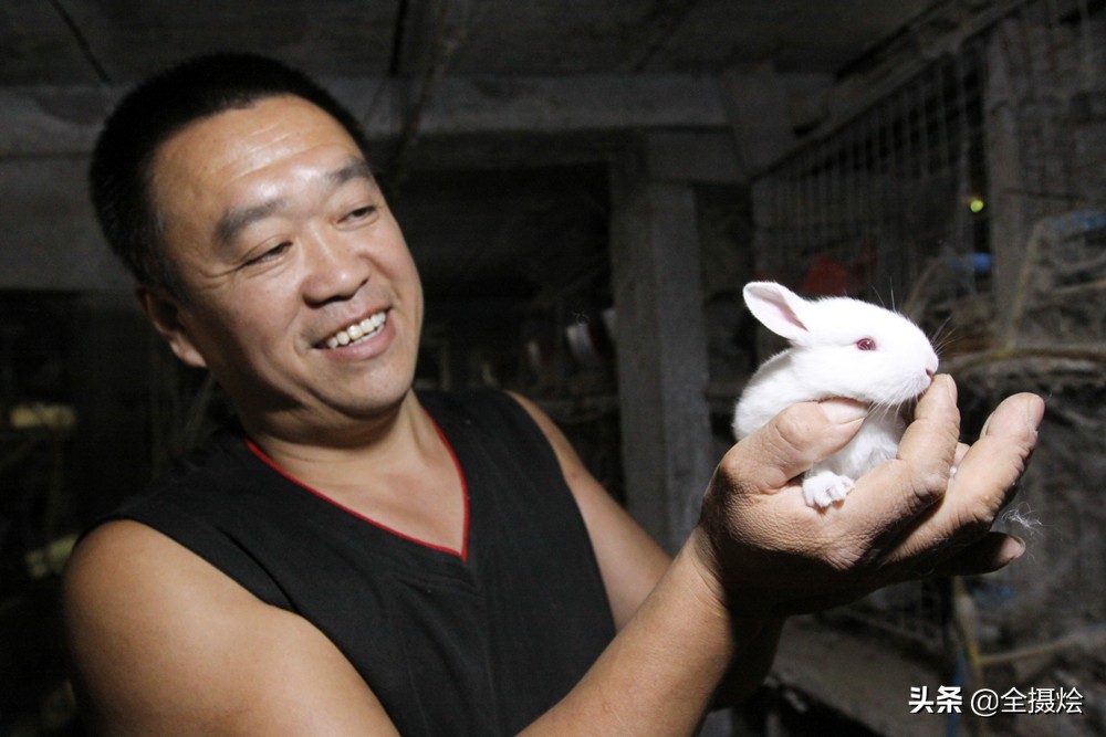 我18岁开始喂兔，20年没赚钱；只因遇到他，让我盖楼房买新车