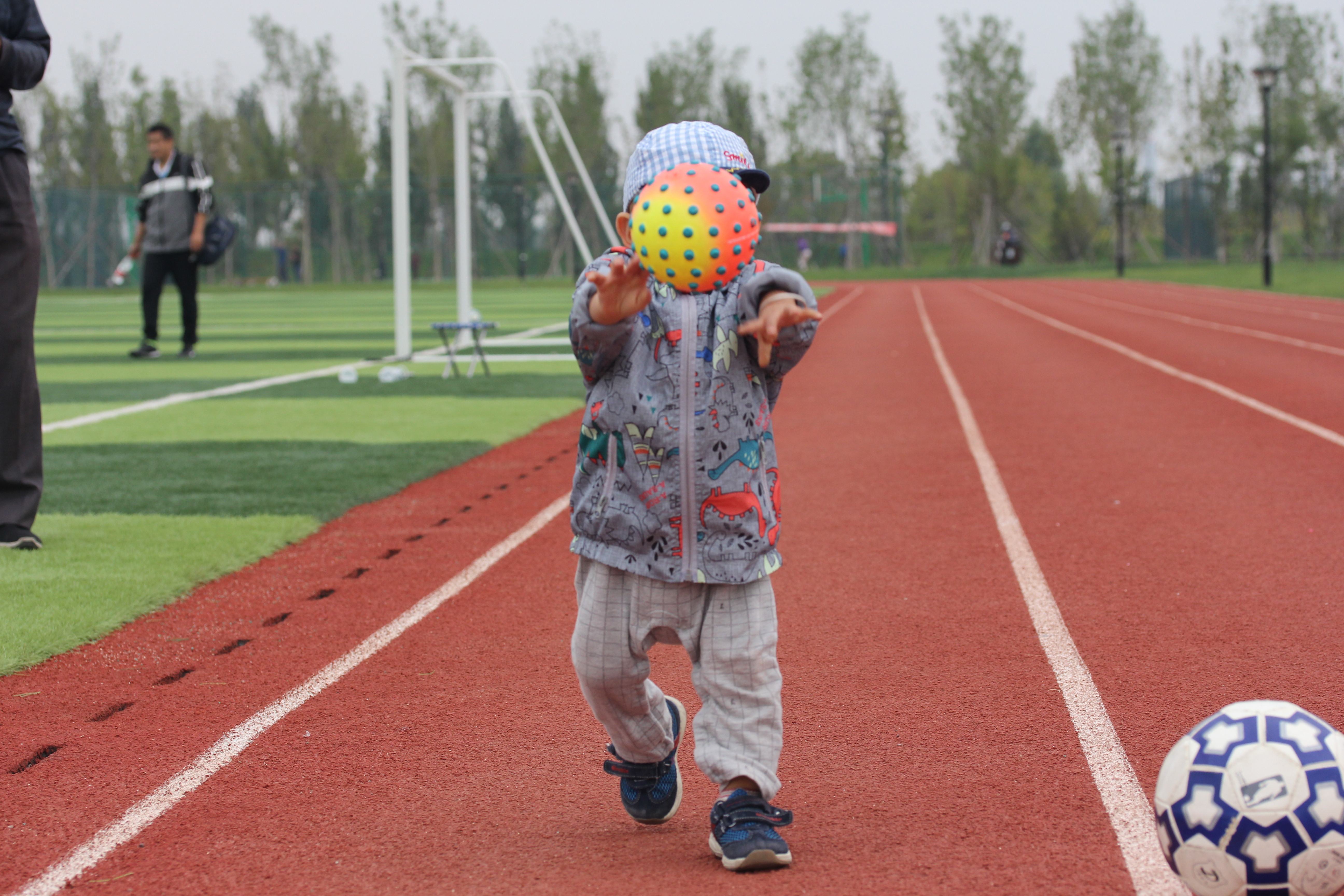 北京市都有哪40个免费公园,北京有多少免费公园