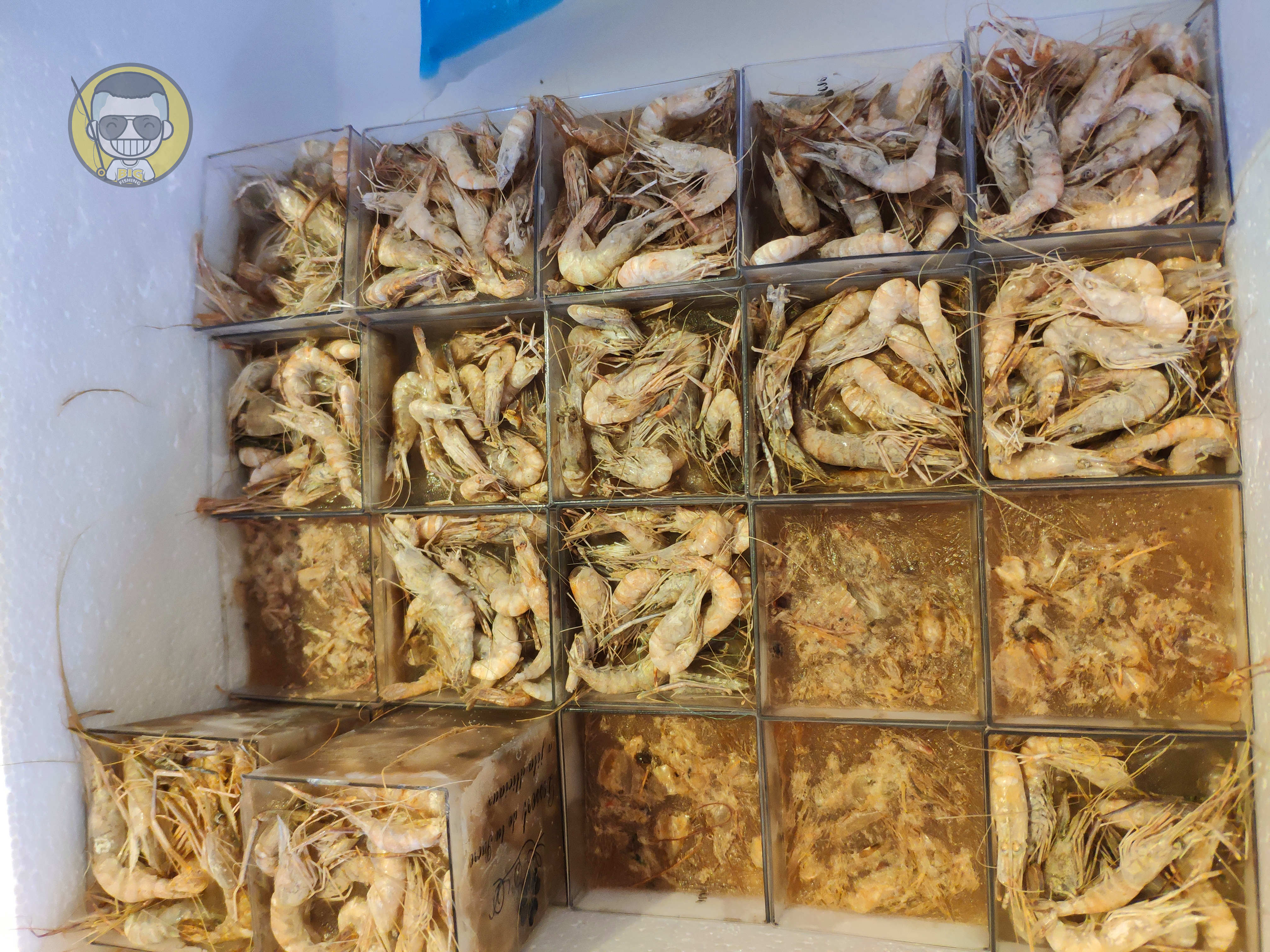 草鱼窝料水库,夏季专攻草鱼的窝料