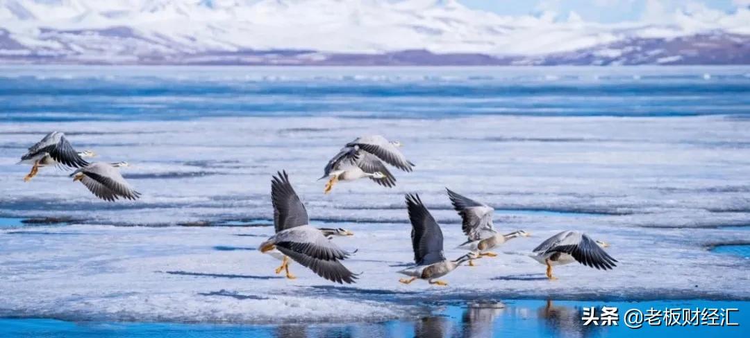 中国县城社会现状,中国县城发展情况