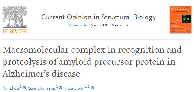 施一公研究团队,施一公团队