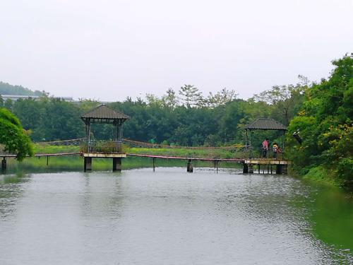 海底捞打边炉,海底捞广东锅底