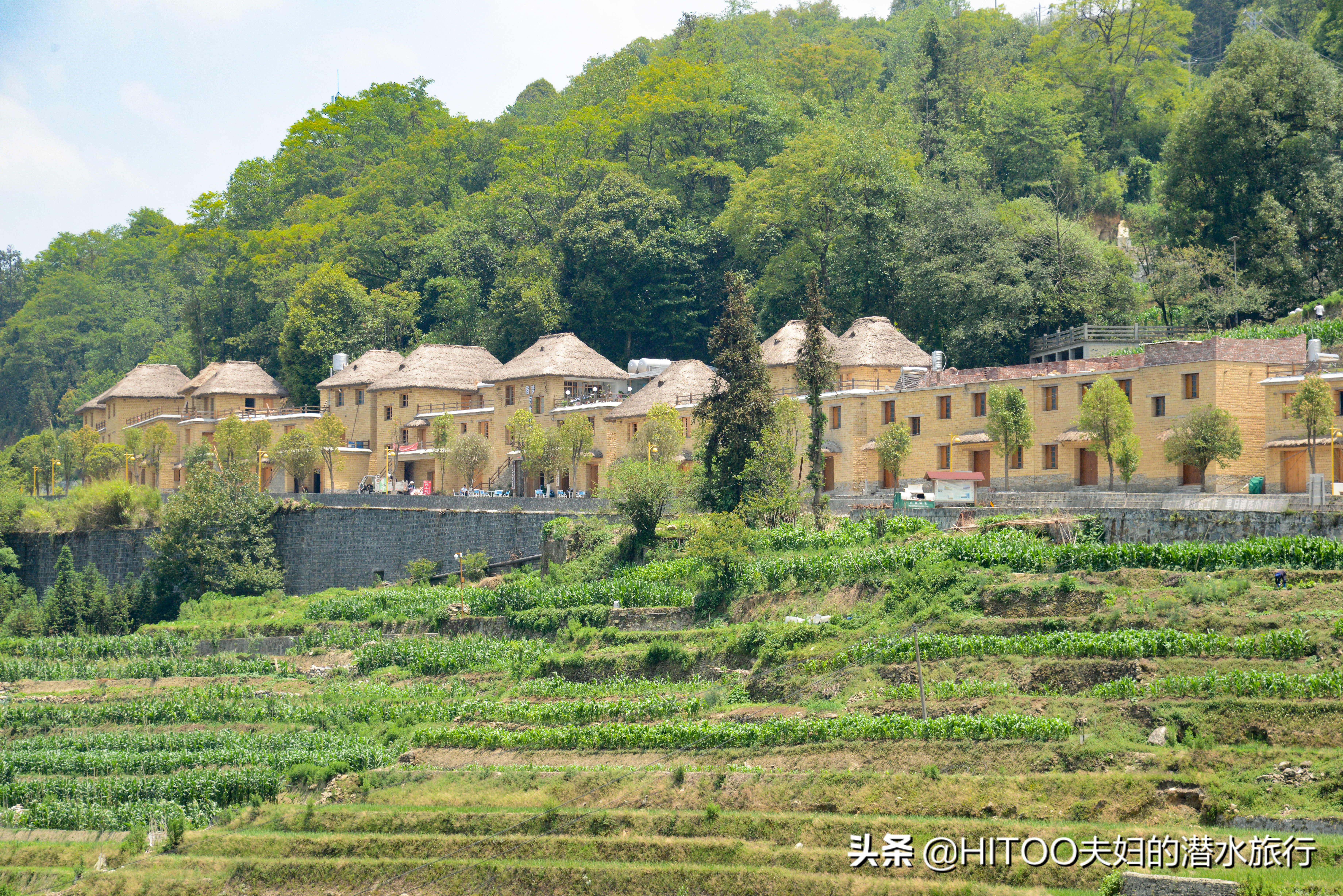 元阳梯田自驾游路线攻略,不花钱看元阳梯田自驾攻略