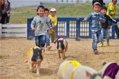 苏州五一期间哪些景点开放,苏州国庆亲子游免费推荐地