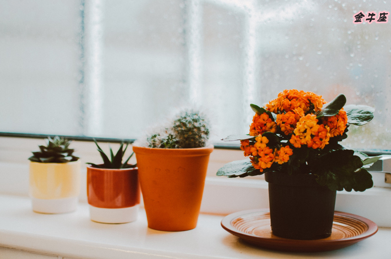 哪个星座男是钢铁直男,12星座中最直男的星座