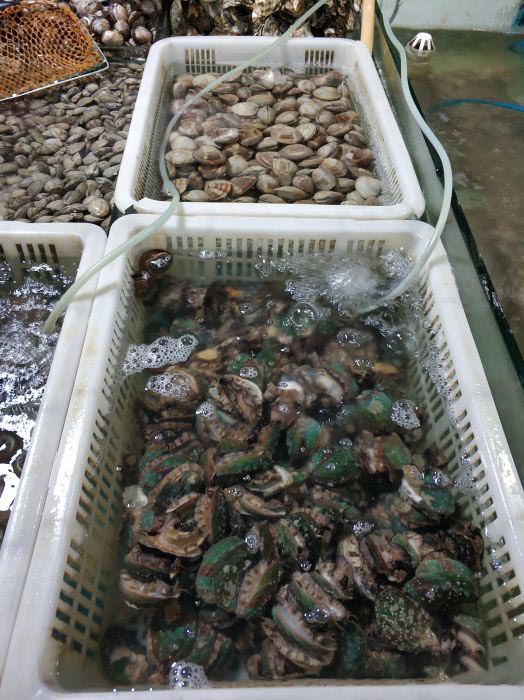 秦皇岛南戴河吃海鲜哪里便宜,秦皇岛海鲜哪里最好最实惠