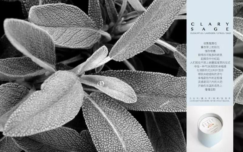 室内香水味道哪种好闻又持久,好闻的香水气味有哪些