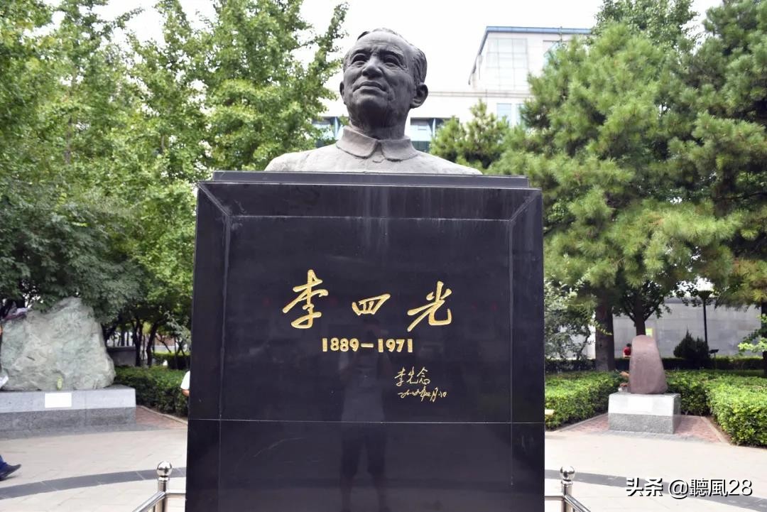 最稀有的化石之一,从来没见过的古老化石