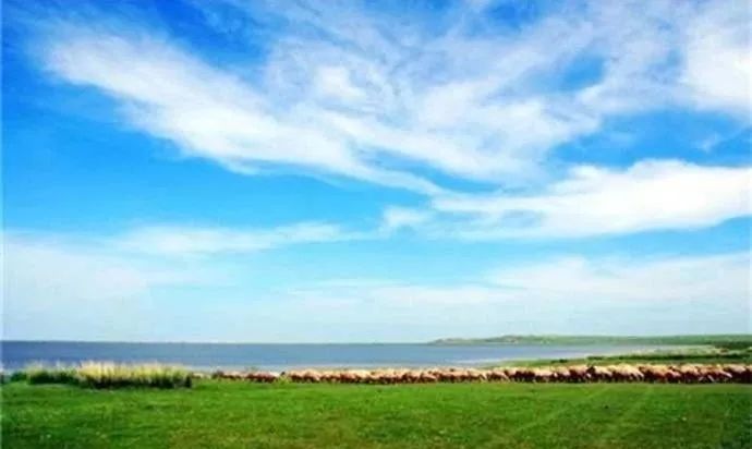 呼伦贝尔山区自然风景,呼伦贝尔沿途风景