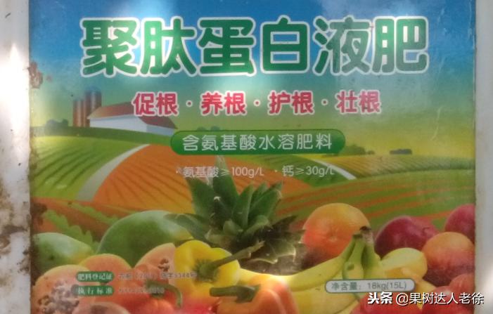 樱桃树如何正确种植,樱桃好吃树难栽真的就这么难么