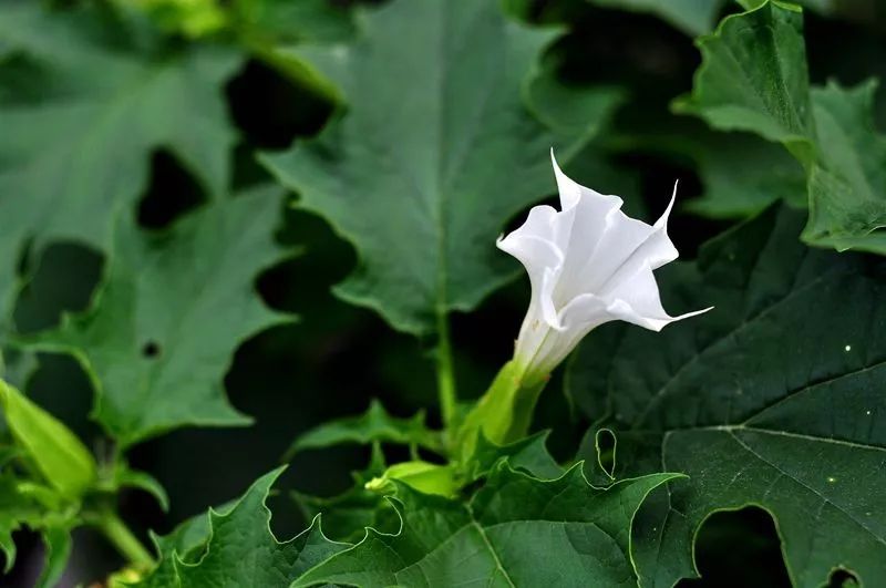 皮肤痒忌口食物一览表,皮肤瘙痒忌口要多久好