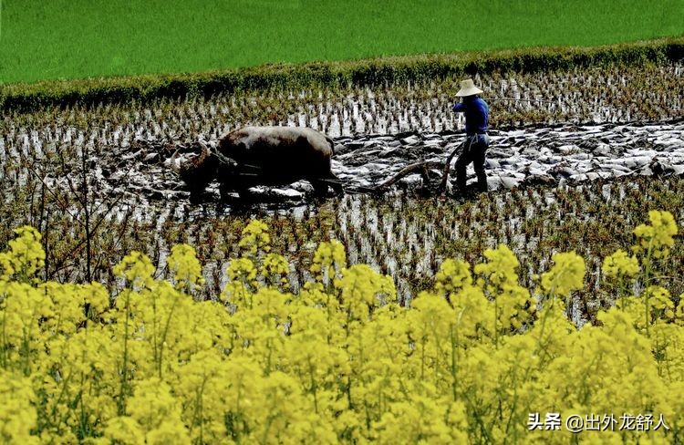 安徽农耕文化密码,安徽舒城的风土人情