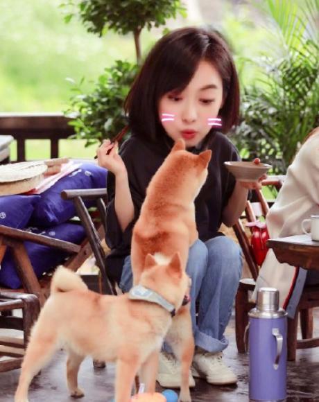 向往的生活劈柴宋茜彭昱畅,宋茜向往的生活3