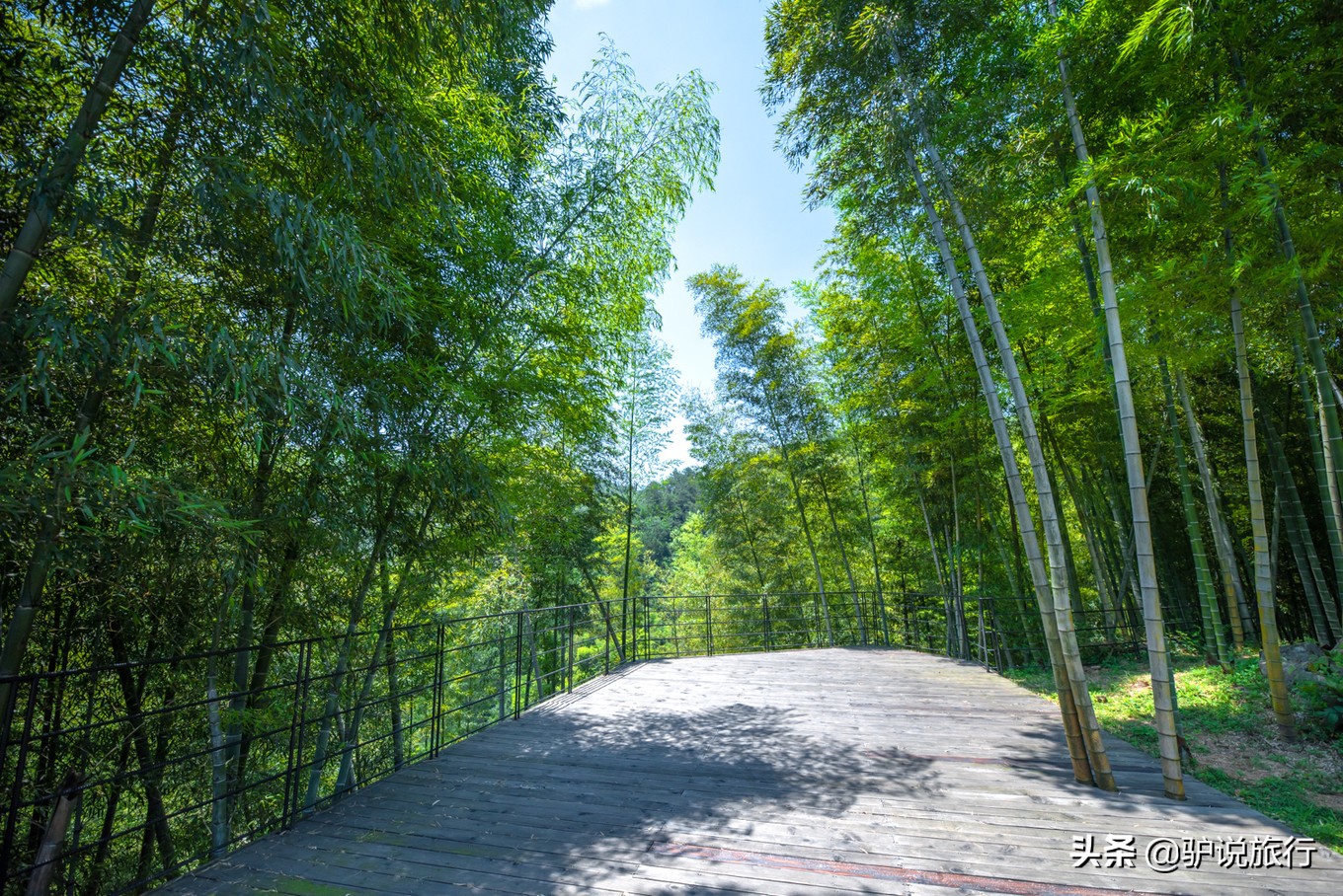 浙江安吉漂流哪里的最刺激好玩,浙北安吉大峡谷漂流旅游攻略