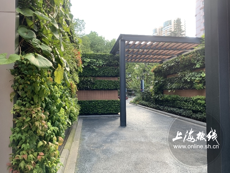 魔都100：藏在静安市中心最袖珍的公园重温老上海的儿时记忆